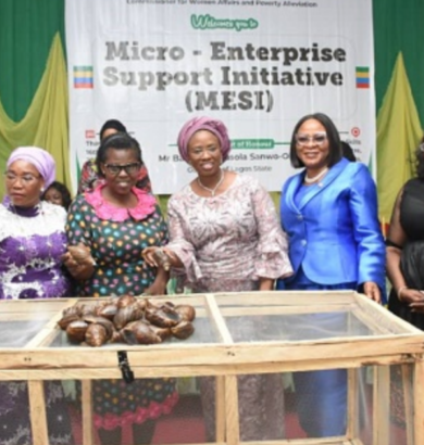 Over 35000 trained, 18000 empowered with business start up tools in MESI scheme – Lagos govt