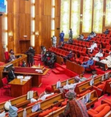 Senate frowns at NFF, NSC over dismal performances of national teams