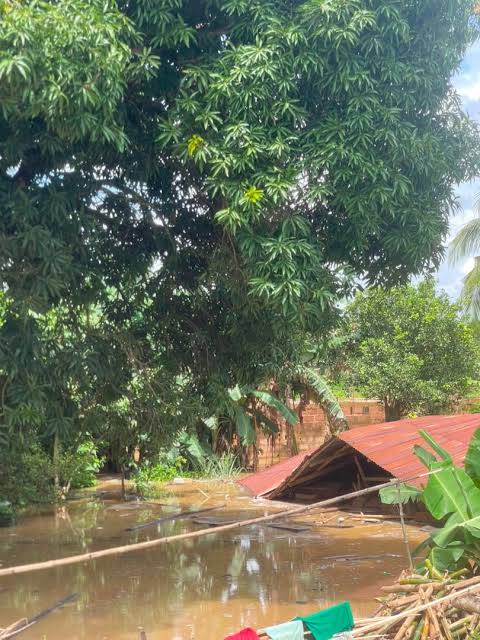 flood an